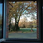 Les Trois Geais 3* Les Épesses