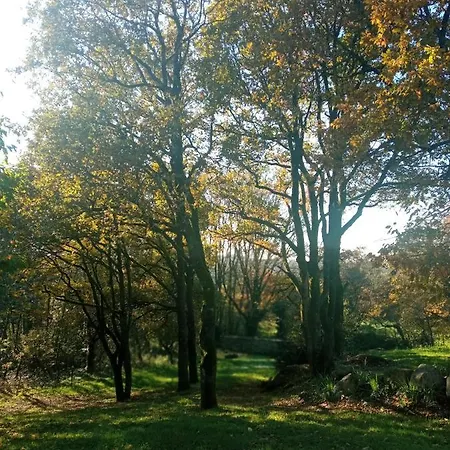 Les Trois Geais Лез-Эпес