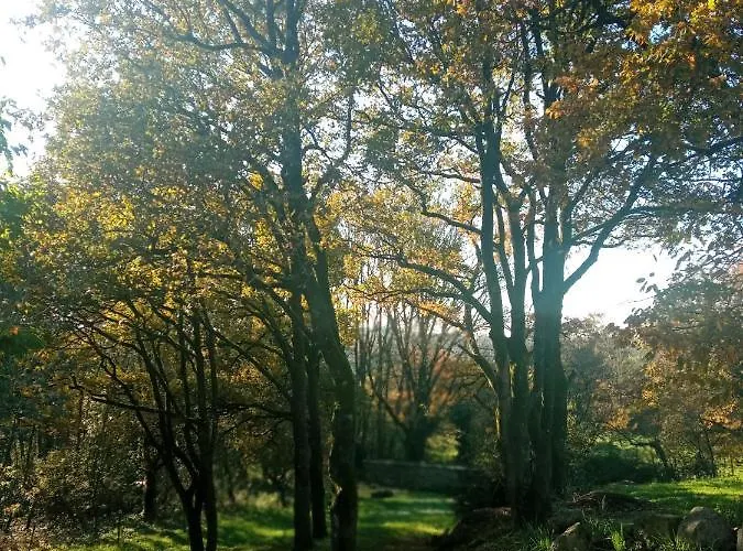 Les Trois Geais Les Épesses